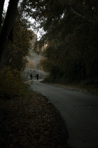 2020 - Las Lagunas de las Madres