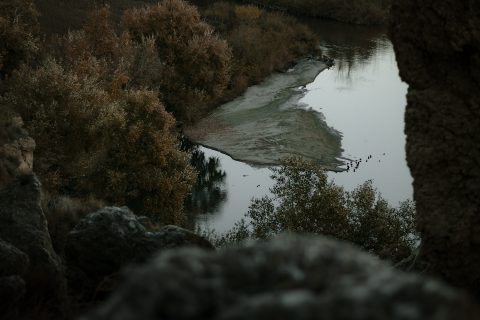 2020 - Las Lagunas de las Madres