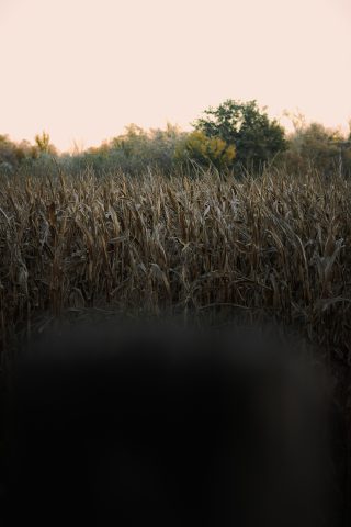 2020 - Las Lagunas de las Madres