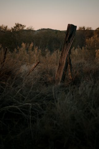 2020 - Las Lagunas de las Madres