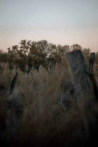 2020 - Las Lagunas de las Madres