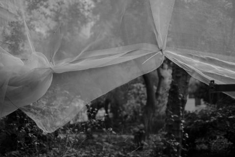 2026 - Reina Sofía