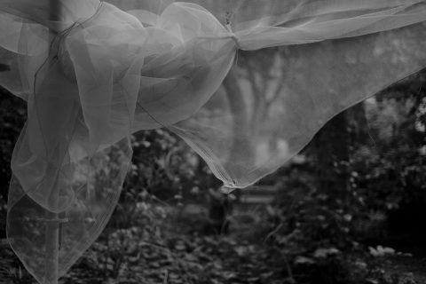 2026 - Reina Sofía