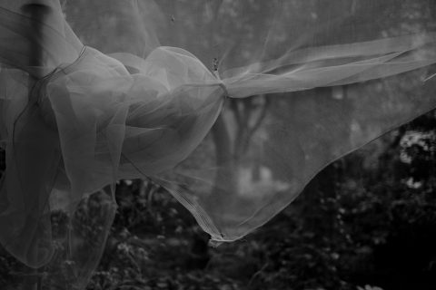 2026 - Reina Sofía