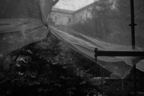 2026 - Reina Sofía